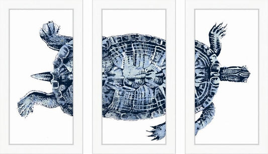 Blue Turtle in Three Parts