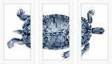 Blue Turtle in Three Parts