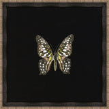 Butterflies on Black II