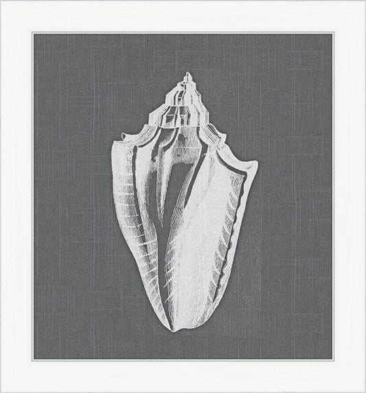White Shell on Gray I