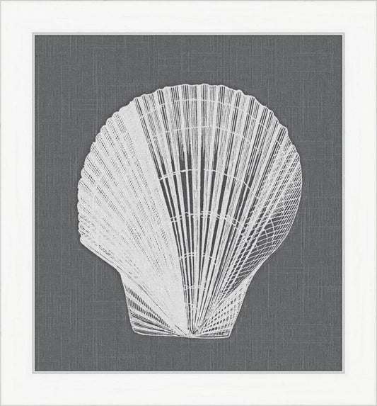 White Shell on Gray II