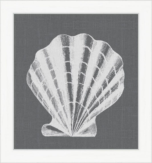 White Shell on Gray IV