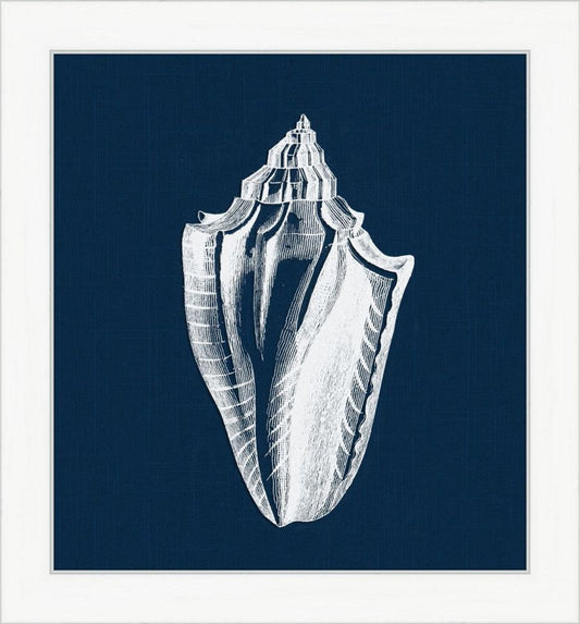 White Shell on Blue I