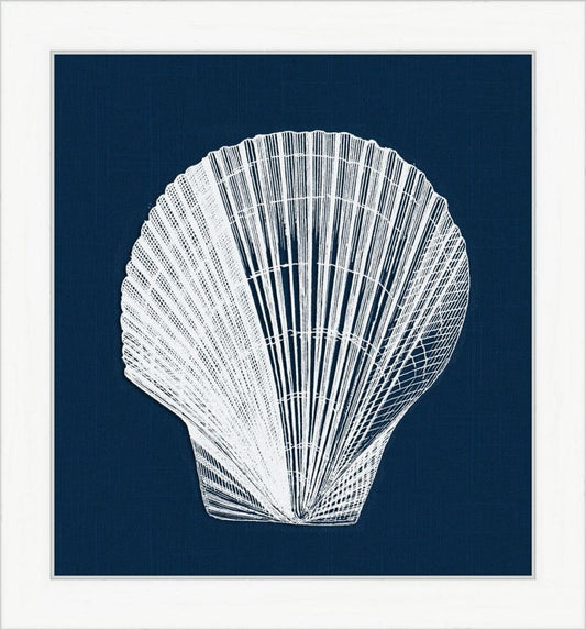 White Shell on Blue II