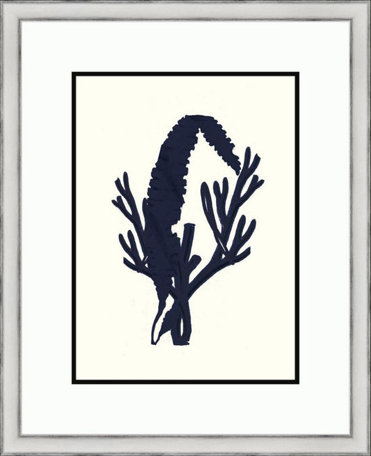Black Sealife I