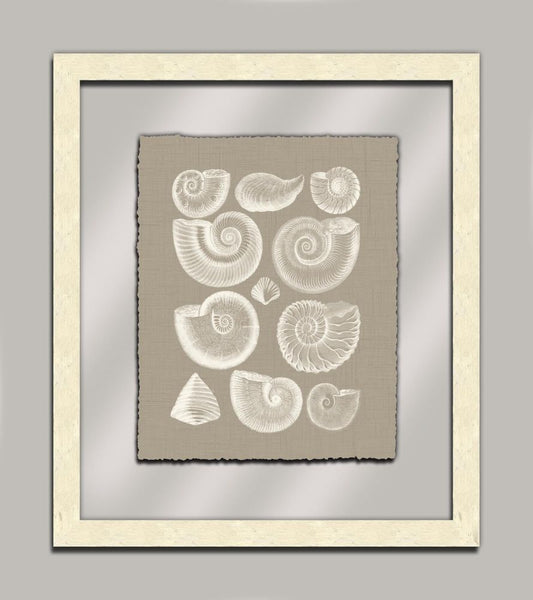 Taupe Shells in Glass I