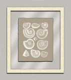 Taupe Shells in Glass I