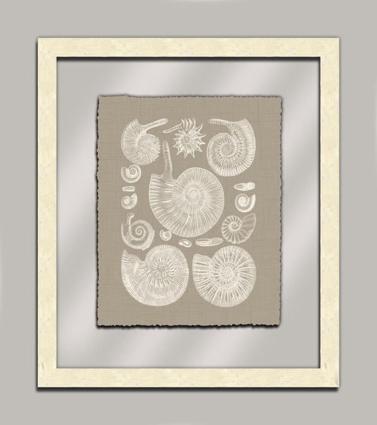 Taupe Shells in Glass II