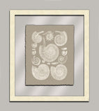 Taupe Shells in Glass II