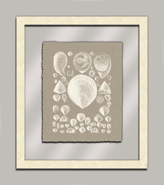 Taupe Shells in Glass IV