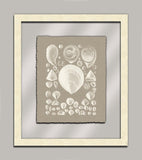 Taupe Shells in Glass IV