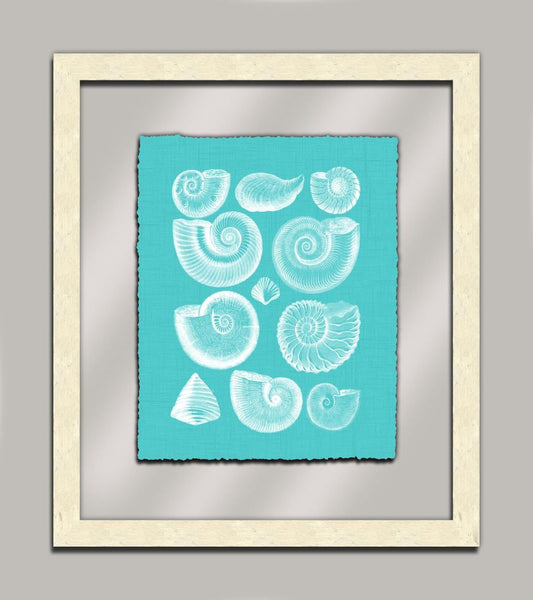 Aqua Shells in Glass I