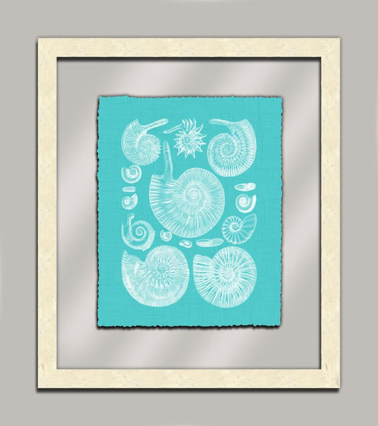 Aqua Shells in Glass II