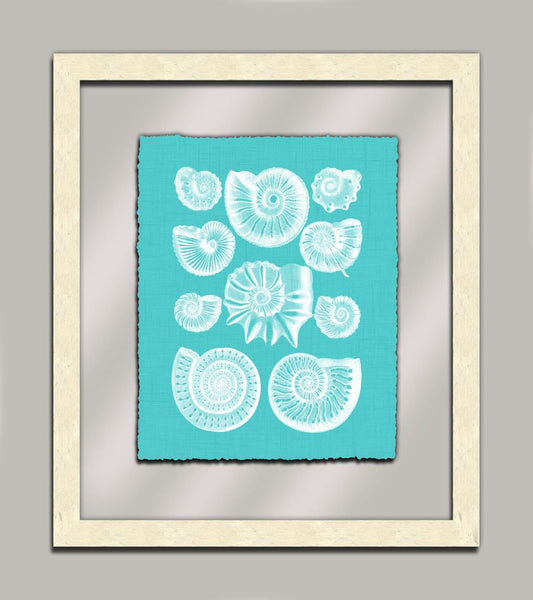 Aqua Shells in Glass III