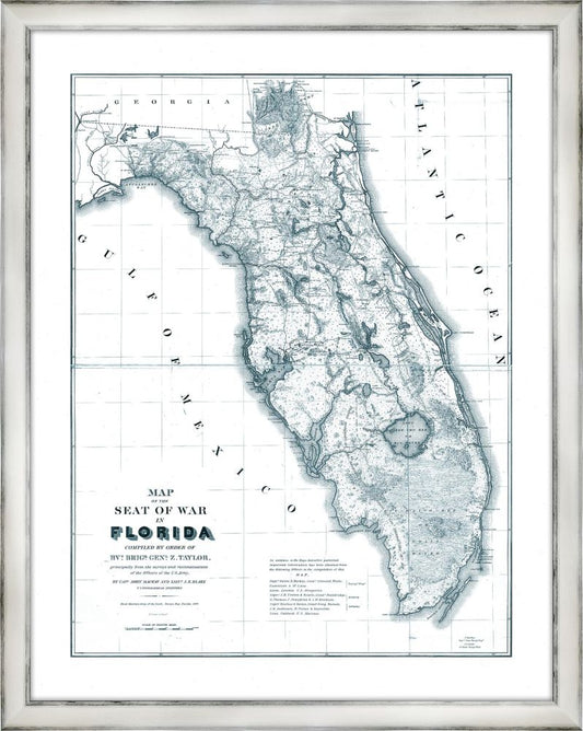 Florida in Blue