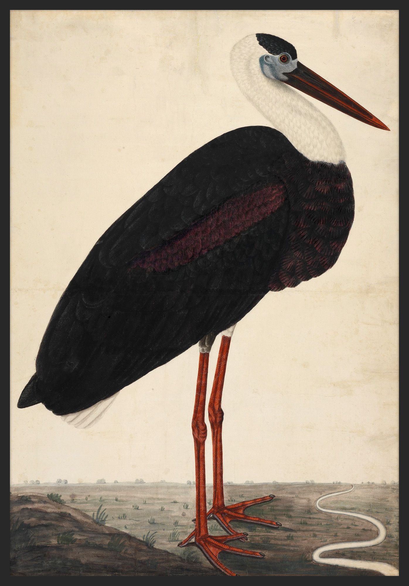 Black Stork in a Landscape, circa 1780 on Canvas