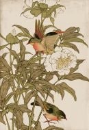 Peking Robin and Peonies Petite Boxed Canvas