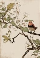 Red Robin and Peach Blossoms Petite Boxed Canvas