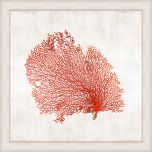 Crimson Coral Grande I