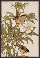 Peking Robin and Peonies Petite on Canvas