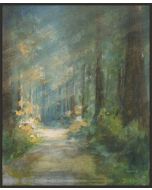 Sun Soaked Redwoods on Canvas