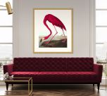 Audubon's American Flamingo in Gold