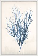 Bradbury Sea Grass VI Blue Petite