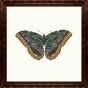 Large Butterfly III