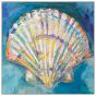 Scallop Shell on Canvas 