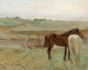 Horses in a Meadow, Edgar Degas, 1871 Boxed Canvas