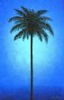 Silhouette Palm Boxed Canvas
