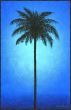 Silhouette Palm