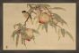 Wu Zhang Birds and Fruit V