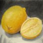 Lemons Boxed Canvas