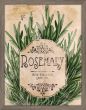 Seed Packet Rosemary