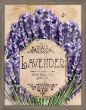 Seed Packet Lavender