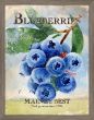 Seeks Packet Maine Blueberries