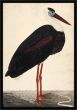 Black Stork in a Landscape, circa 1780