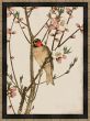 Ruby Throat and Peach Blossoms
