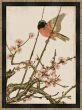Songbird and Cherry Blossoms