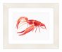 Watercolor Crayfish