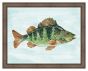 Watercolor Fish II