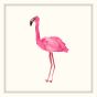 Fancy Flamingo I