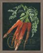 Seed Packet Carrots