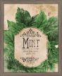 Seed Packet Mint