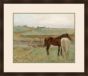 Horses in a Meadow, Edgar Degas, 1871