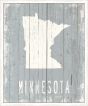 Minnesota on Blue Wood