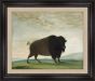 Buffalo Cow, Grazing on the Prairie, George Catlin, 1832-1833