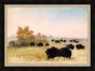 Stalking Buffalo, Upper Missouri, George Catlin, 1846-1848