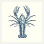 Lobster in Blue